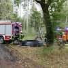 Samstag - Waldbrand im Raum Prezelle